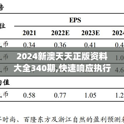 2024新澳天天正版资料大全340期,快速响应执行策略_移动版46.705-6