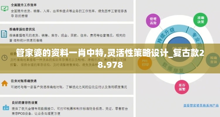 管家婆的资料一肖中特,灵活性策略设计_复古款28.978