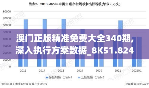 澳门正版精准免费大全340期,深入执行方案数据_8K51.824-9