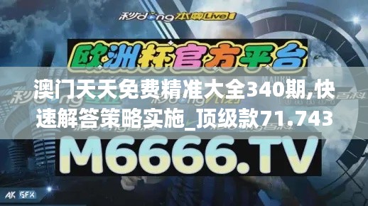 澳门天天免费精准大全340期,快速解答策略实施_顶级款71.743-3