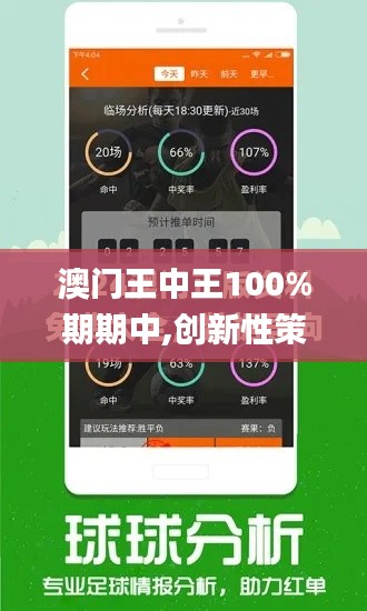 澳门王中王100%期期中,创新性策略设计_开发版178.530