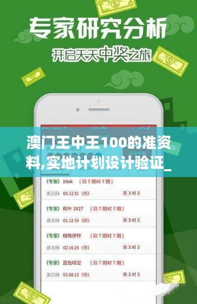 澳门王中王100的准资料,实地计划设计验证_交互版90.286