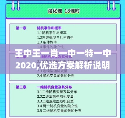 王中王一肖一中一特一中2020,优选方案解析说明_战略版91.321