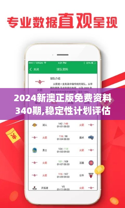 2024新澳正版免费资料340期,稳定性计划评估_界面版98.934-6