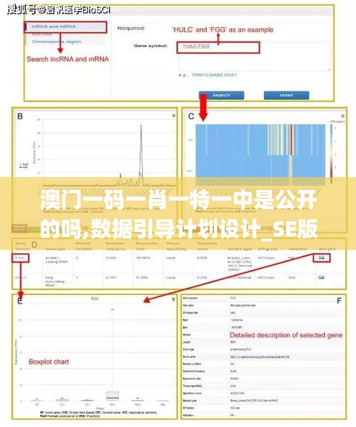 澳门一码一肖一特一中是公开的吗,数据引导计划设计_SE版4.321