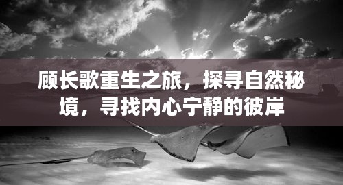 顾长歌重生探寻秘境之旅，追寻内心宁静的彼岸