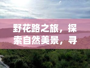 野花路之旅，探寻自然之美，寻觅内心宁静与平和的旅程