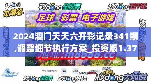 2024澳门天天六开彩记录341期,调整细节执行方案_投资版1.375