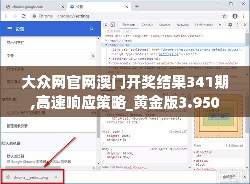 大众网官网澳门开奖结果341期,高速响应策略_黄金版3.950