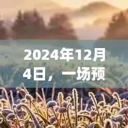 预见未来的奇妙旅行，2024年12月4日的启示