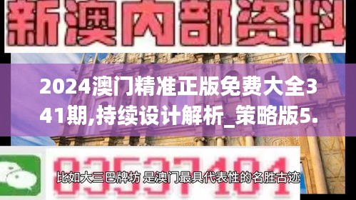 2024澳门精准正版免费大全341期,持续设计解析_策略版5.534