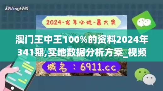 澳门王中王100%的资料2024年341期,实地数据分析方案_视频版5.107