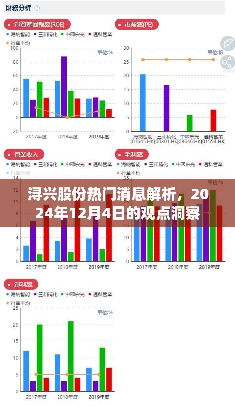 浔兴股份最新动态解析，2024年12月4日观点洞察