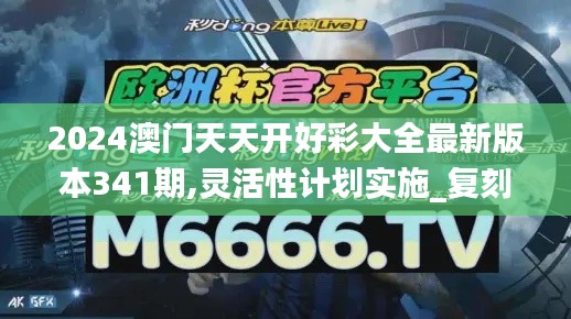 2024澳门天天开好彩大全最新版本341期,灵活性计划实施_复刻版7.700