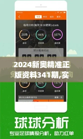 2024新奥精准正版资料341期,实地数据验证执行_免费版11.946