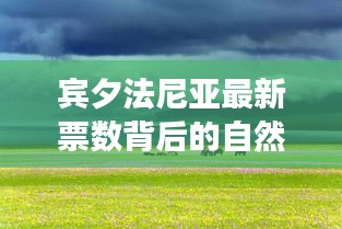 宾夕法尼亚选票背后的自然美景探索之旅，内心平静的奇妙冒险