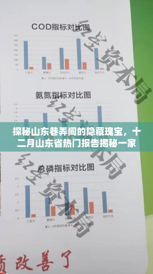 探秘山东巷弄间的隐藏瑰宝，十二月热门报告揭示特色小店的独特魅力