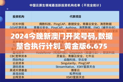 2024今晚新澳门开奖号码,数据整合执行计划_黄金版6.675