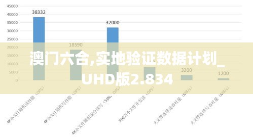 澳门六合,实地验证数据计划_UHD版2.834