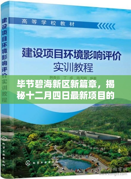 揭秘，毕节碧海新区新项目诞生与影响，开启新篇章（十二月四日最新动态）