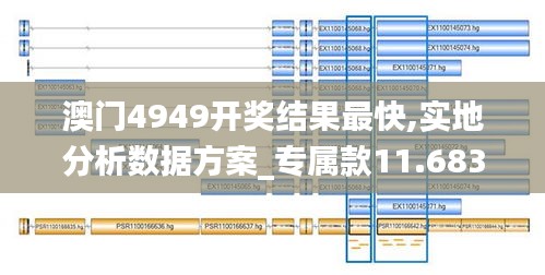 澳门4949开奖结果最快,实地分析数据方案_专属款11.683