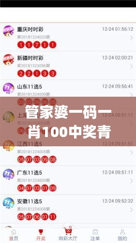 管家婆一码一肖100中奖青岛,最新答案解释定义_6DM12.403