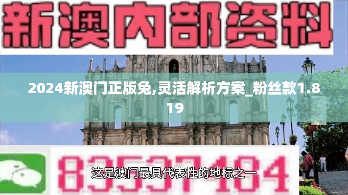 2024新澳门正版兔,灵活解析方案_粉丝款1.819