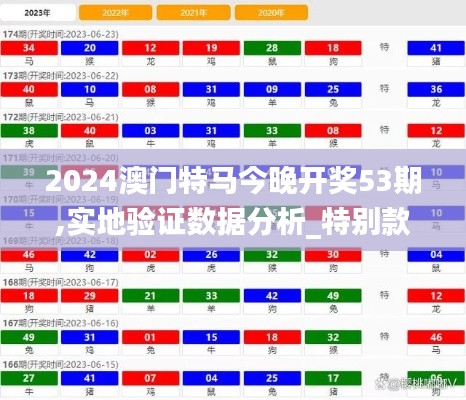 2024澳门特马今晚开奖53期,实地验证数据分析_特别款6.264