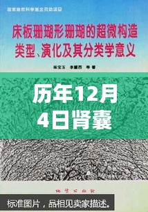 历年肾囊肿治疗方法的演进与影响，前沿探索之路