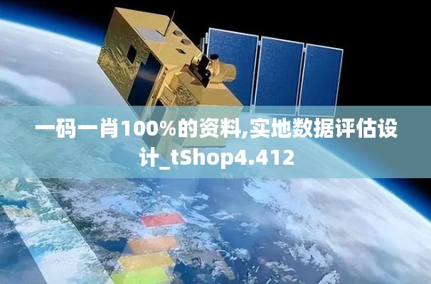 一码一肖100%的资料,实地数据评估设计_tShop4.412