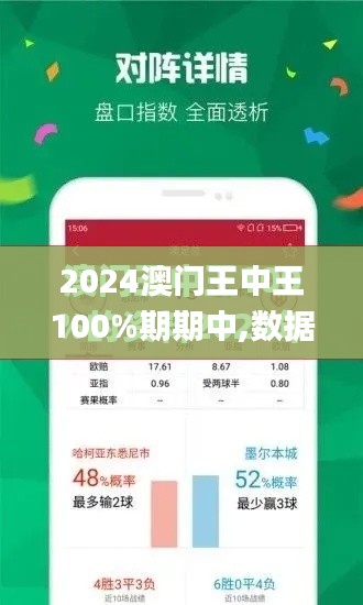 2024澳门王中王100%期期中,数据解析说明_XT9.528