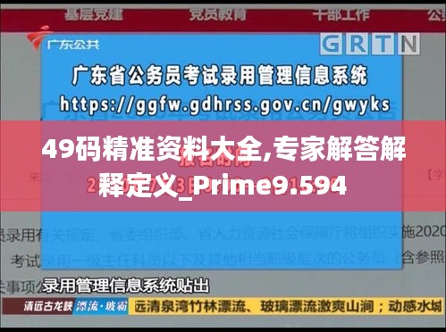 49码精准资料大全,专家解答解释定义_Prime9.594