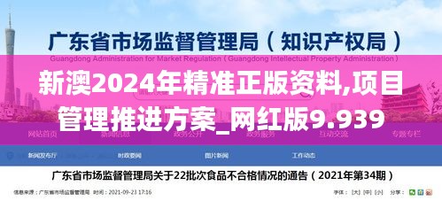 新澳2024年精准正版资料,项目管理推进方案_网红版9.939