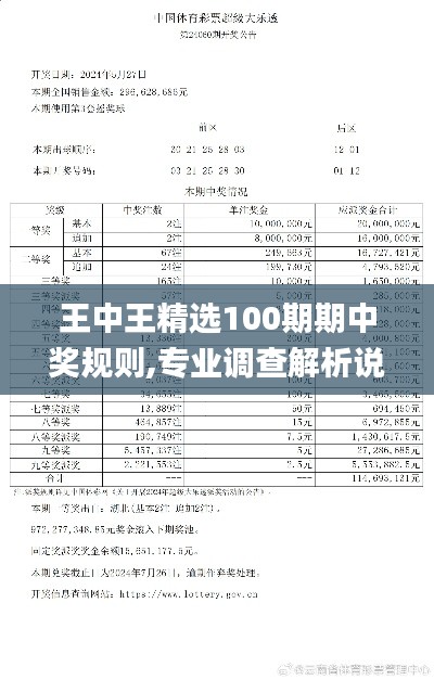 王中王精选100期期中奖规则,专业调查解析说明_复刻版17.111