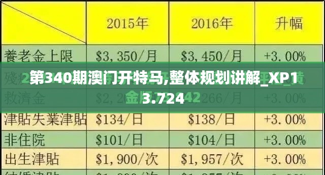 第340期澳门开特马,整体规划讲解_XP13.724