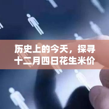 探寻十二月四日花生米价格的变迁脉络，历史回顾与今日洞察