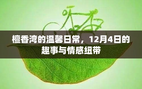 檀香湾的温馨日常，趣事与情感纽带在12月4日的交织