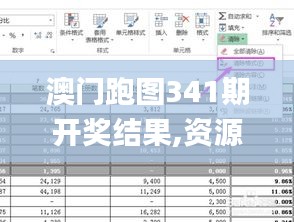 澳门跑图341期开奖结果,资源整合实施_U9.568