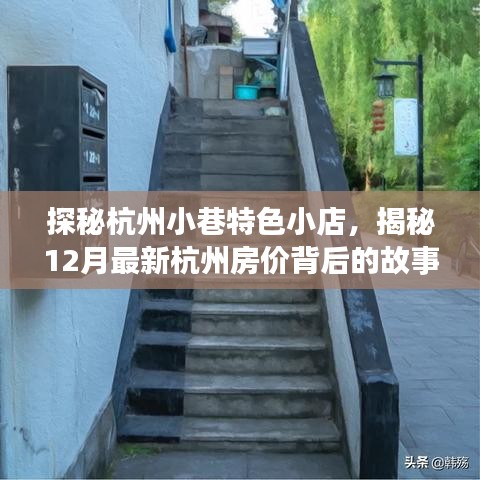 探秘杭州小巷特色小店与最新房价背后的故事