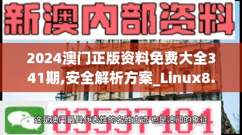 2024澳门正版资料免费大全341期,安全解析方案_Linux8.878