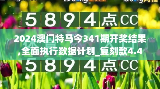 2024澳门特马今341期开奖结果,全面执行数据计划_复刻款4.411