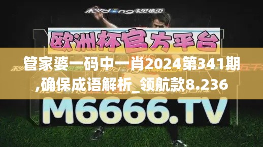 管家婆一码中一肖2024第341期,确保成语解析_领航款8.236