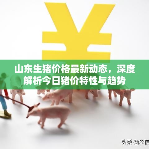 山东生猪价格最新动态解析，今日猪价特性与趋势深度探讨