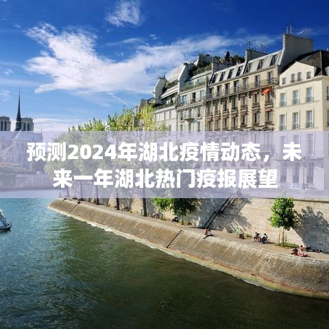 2024年湖北疫情动态预测，未来一年湖北疫报展望