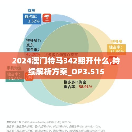 2024澳门特马342期开什么,持续解析方案_OP3.515