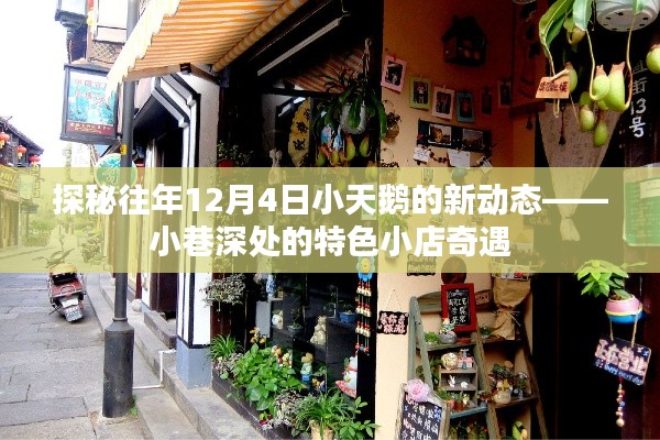 探秘往年12月4日小天鹅新动态，小巷深处的特色小店之旅