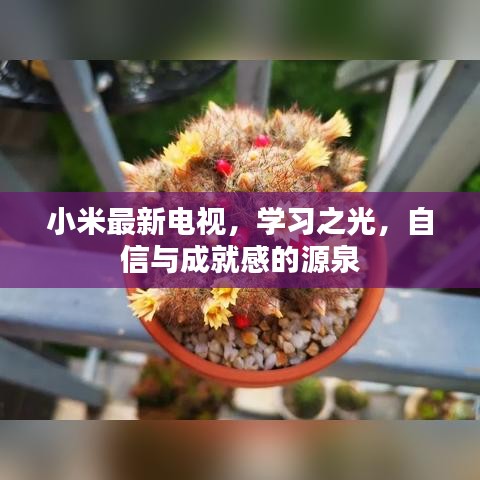 小米最新电视，学习之光，激发自信与成就感的源泉