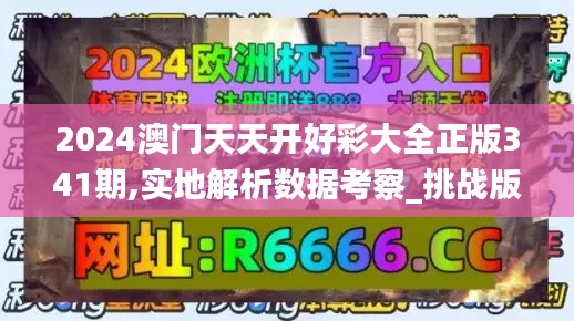 2024澳门天天开好彩大全正版341期,实地解析数据考察_挑战版5.145