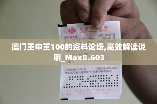 澳门王中王100的资料论坛,高效解读说明_Max8.603