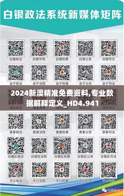 2024新澳精准免费资料,专业数据解释定义_HD4.941